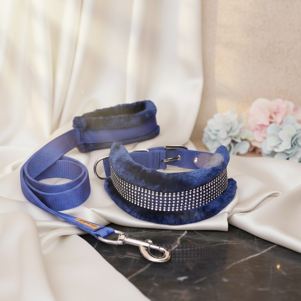 Petshop7 Dog Collar & Leash (Small)- Blue SUPER