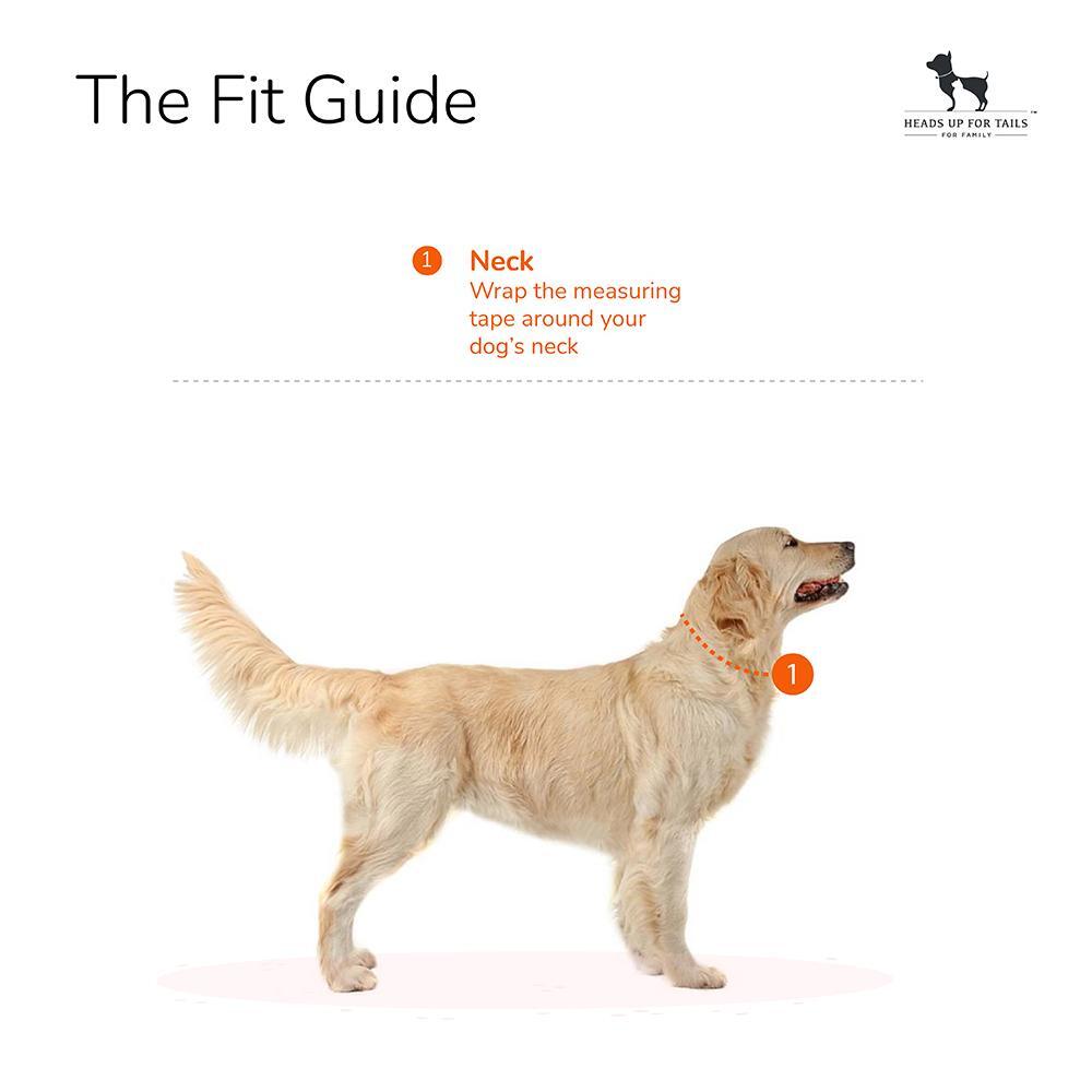 HUFT Be-Leaf in Good Collar and Leash Set for Dogs - Green-5