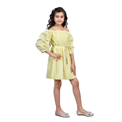 Girls Self Design Round Neck Fit Flare Dress Moozoo Fashions