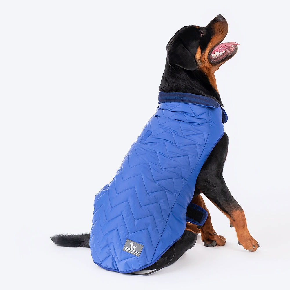 HUFT Wintersong Corduroy Dog Jacket - Blue - Heads Up For Tails