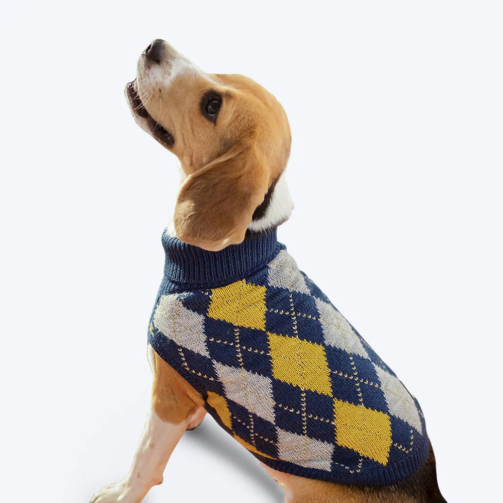 HUFT Argyle Dog Sweater - Navy - Heads Up For Tails