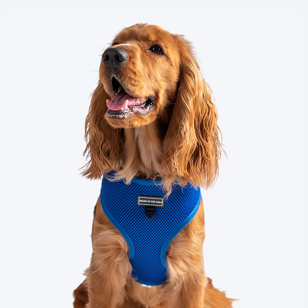 HUFT Classic Mesh Dog Harness - Blue - Heads Up For Tails