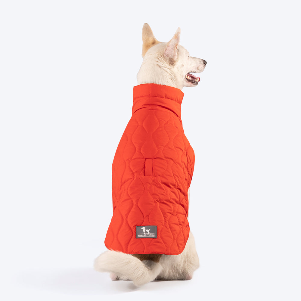 HUFT Cosy Pupper Reversible Dog Jacket- Spicy Orange - Heads Up For Tails