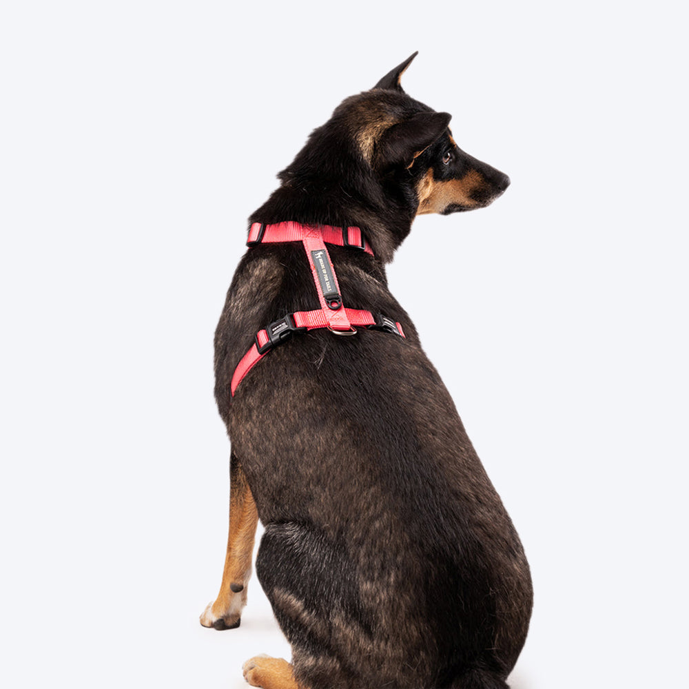 HUFT Essentials Nylon Dog H-Harness - Dark Pink - Heads Up For Tails