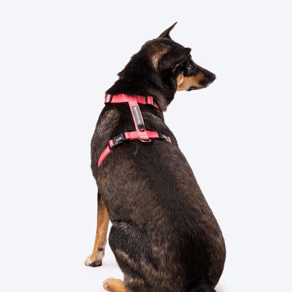 HUFT Essentials Nylon Dog H-Harness - Dark Pink - Heads Up For Tails