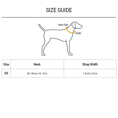 HUFT Essentials Nylon Puppy Collar - Navy - Heads Up For Tails