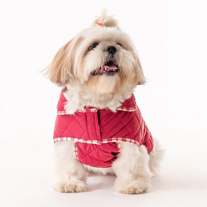 HUFT Grrberry Quilted Dog Jacket- Burnt Red - Heads Up For Tails