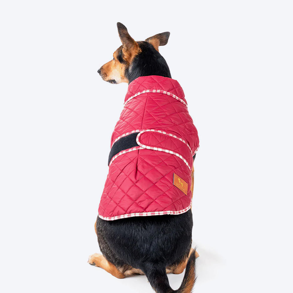 HUFT Grrberry Quilted Dog Jacket- Burnt Red - Heads Up For Tails