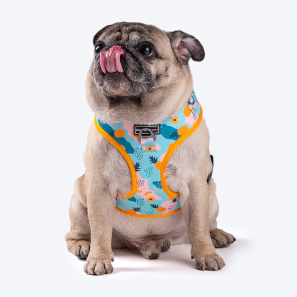 HUFT Modern Art Printed Dog Harness - Heads Up For Tails