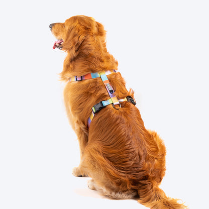 HUFT Nylon Chase the Rainbow Dog H Harness - Heads Up For Tails
