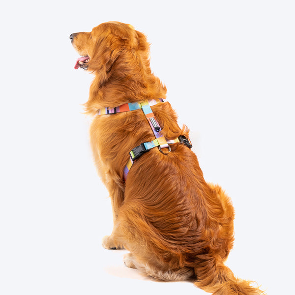 HUFT Nylon Chase the Rainbow Dog H Harness - Heads Up For Tails