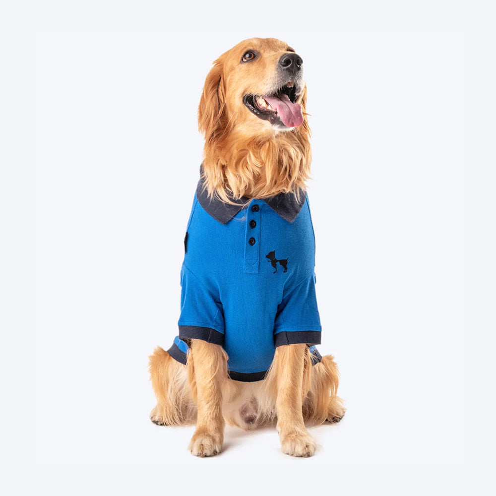 HUFT Polo T-Shirt For Dog - Blue - Heads Up For Tails