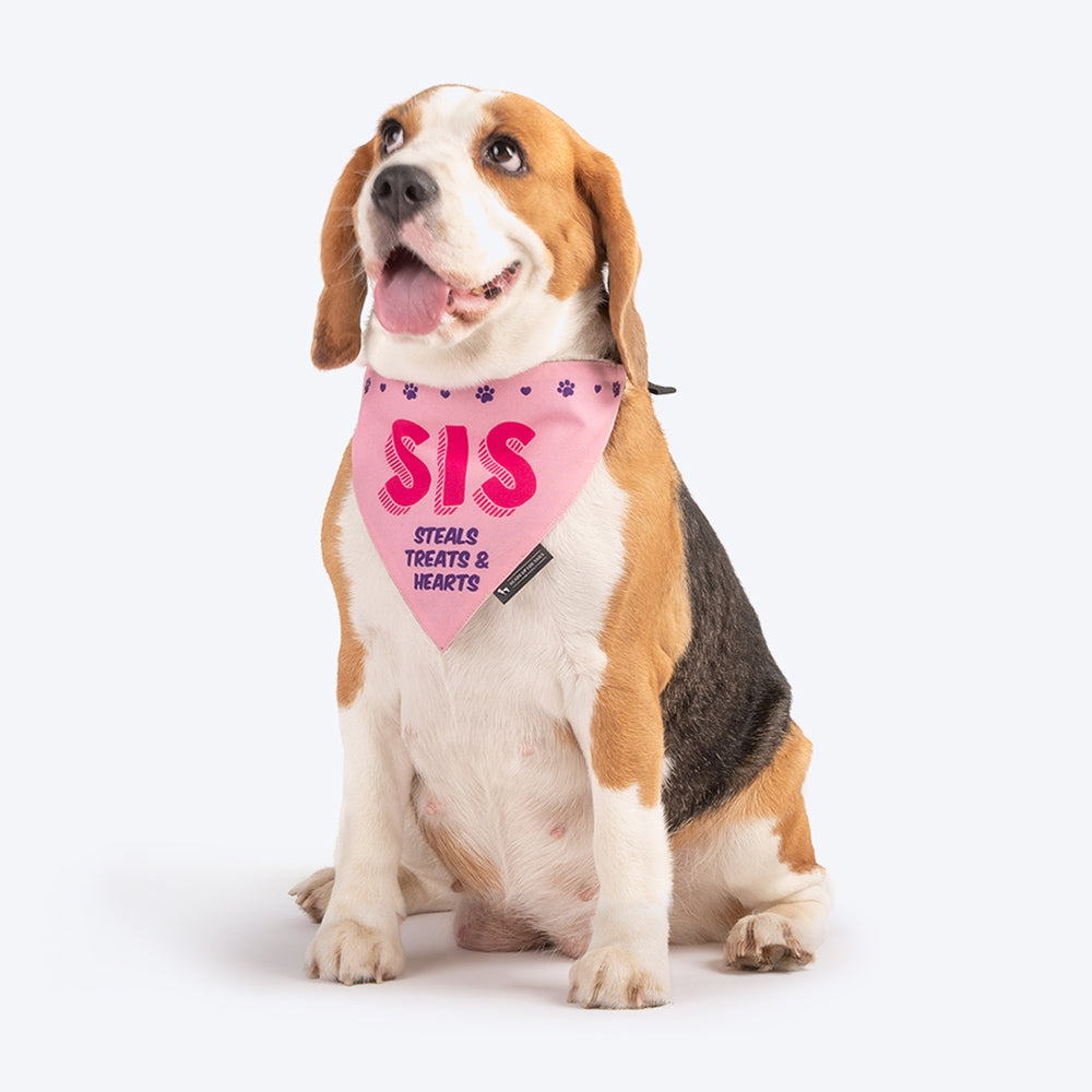 HUFT Sis - Steals Treats & Hearts Dog Bandana - Heads Up For Tails