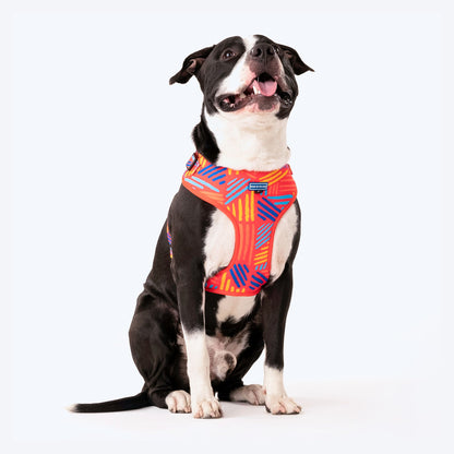 HUFT Sunset Samba Dog Adjustable Harness - Heads Up For Tails