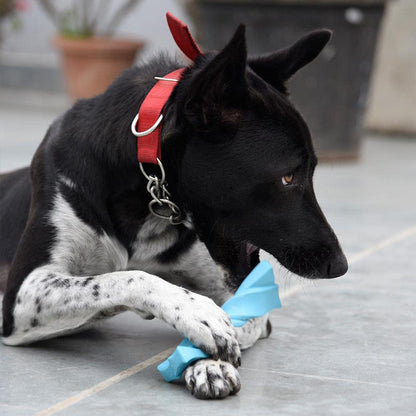 HUFT Twistee Collection Dog Chew Toy - Gnaw Bone_03