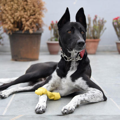 HUFT Twistee Collection Dog Chew Toy - Fetch & Chew_03