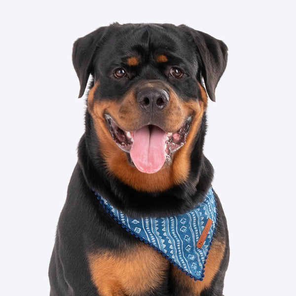 HUFT The Indian Collective Pankti Dog Bandana - Indigo - Heads Up For Tails