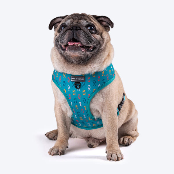 HUFT Verdant Reversible Printed Dog Harness - Heads Up For Tails
