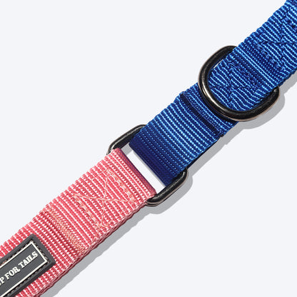 HUFT Martingale Dog Collar - Pink and Navy - Heads Up For Tails