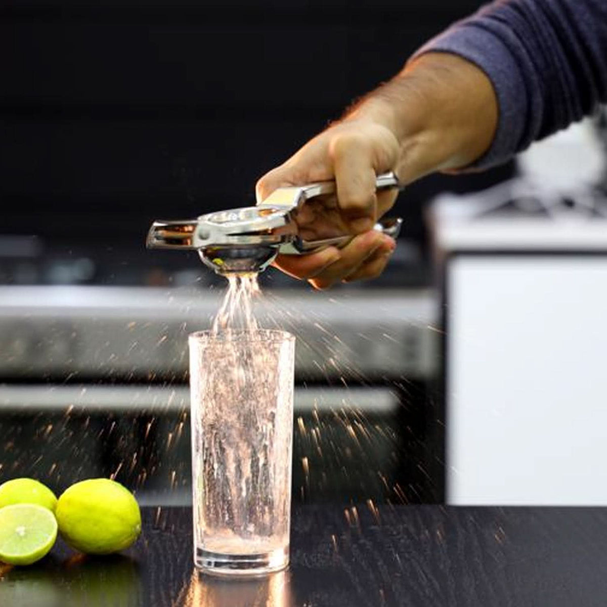 Stainless Steel Lemon Squeezer HP DD