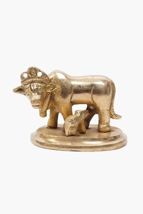 1736315313299__1736315312912__DSC07684[1]