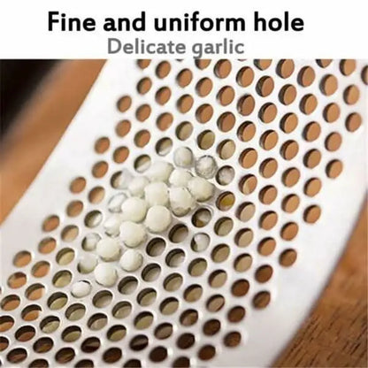 Stainless Steel Garlic Presser Crusher (Multicolor) HP DD