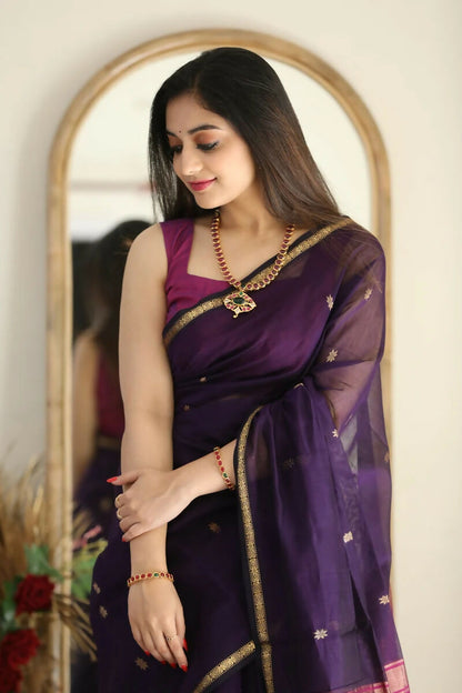 AXONIT Regal Harmony Cotton Saree with Golden Zari Work and Rani Pink Pallu