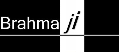 Rawl Plugs Wall Anchors – 35 mm (Pack of 500) Heavy Duty Plastic Gitti Nylon Plugs Wall Plugs Screw Sleeves WiNNY