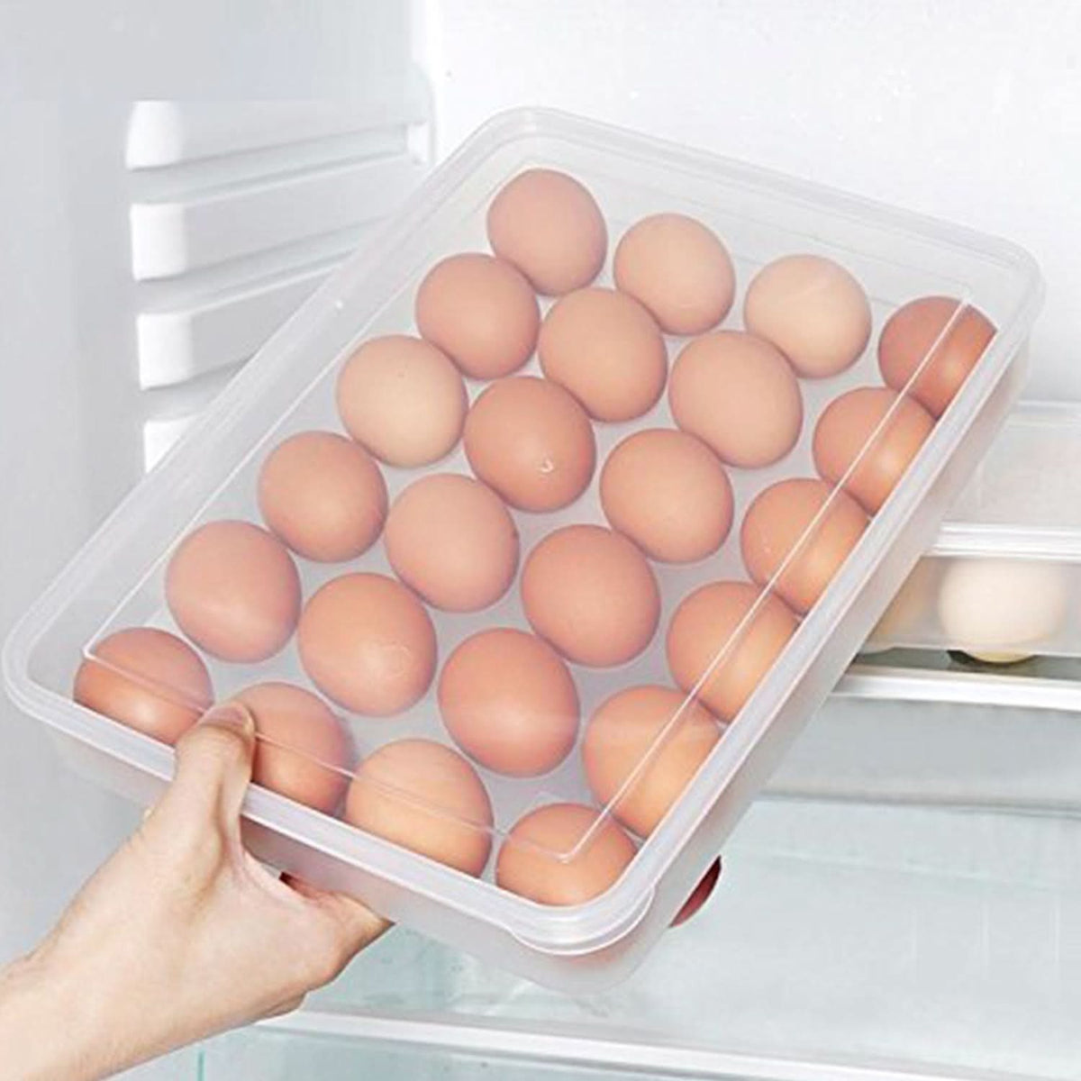 Plastic Egg Storage Container Holder For Refrigerator Egg Tray Holds 24 Eggs (1 Pc) HP DD
