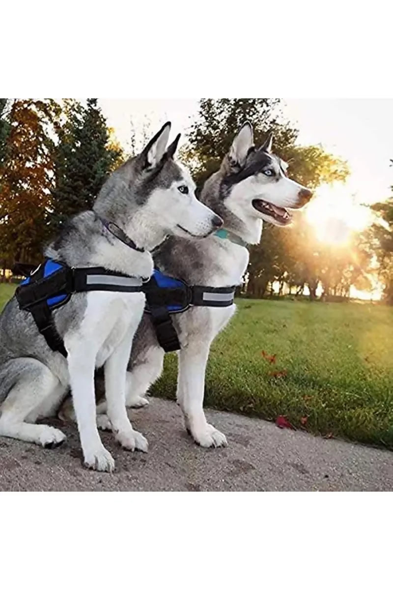 1726570895132__1726570894652__81EvcLUqgiL[1]