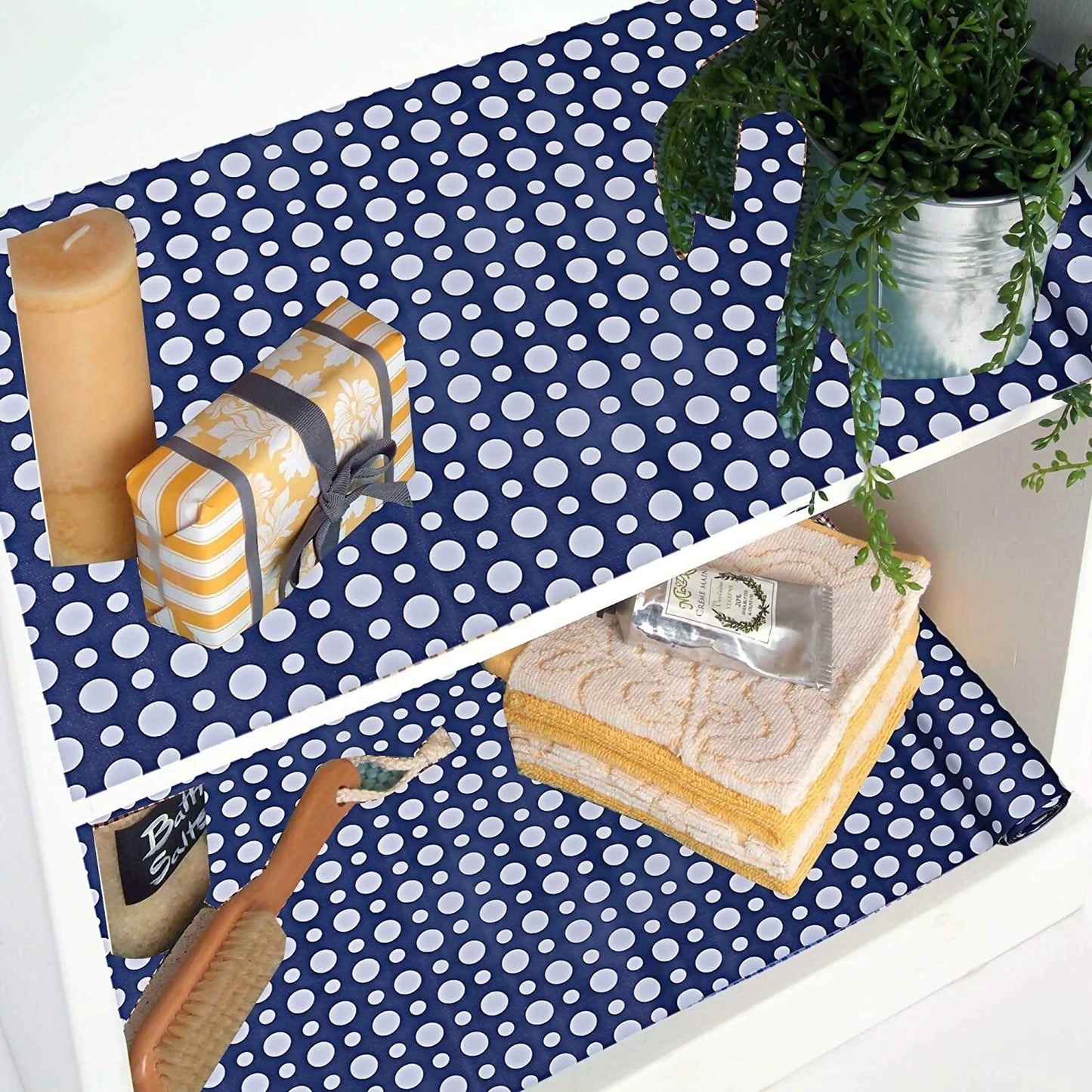 1-bluedots-apexaura-original-imah2pqpfhrhhgkx[1]