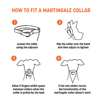 HUFT Martingale Dog Collar - Pink and Navy - Heads Up For Tails