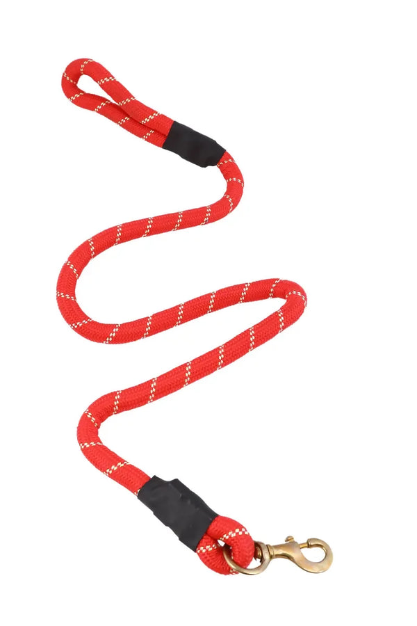 1711976418993__1711976418586__145A6005