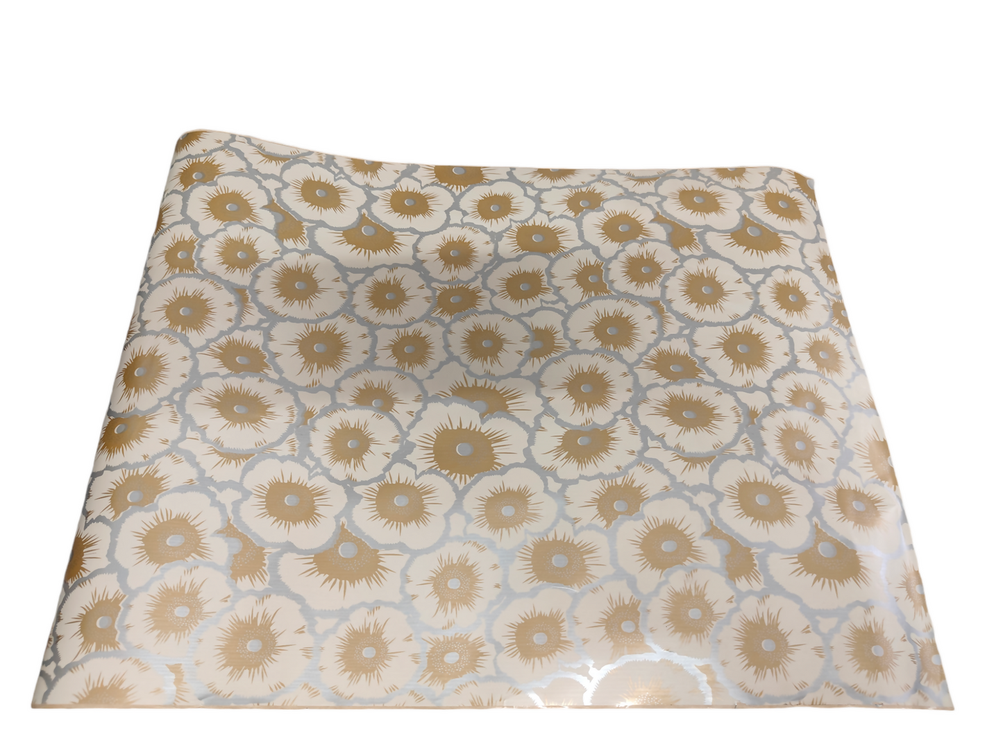 Photo-Room-20240717-201909