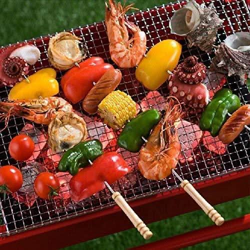 2224 Bbq Tandoor Skewers Grill Sticks For Barbecue (Pack Of 12) HP DD