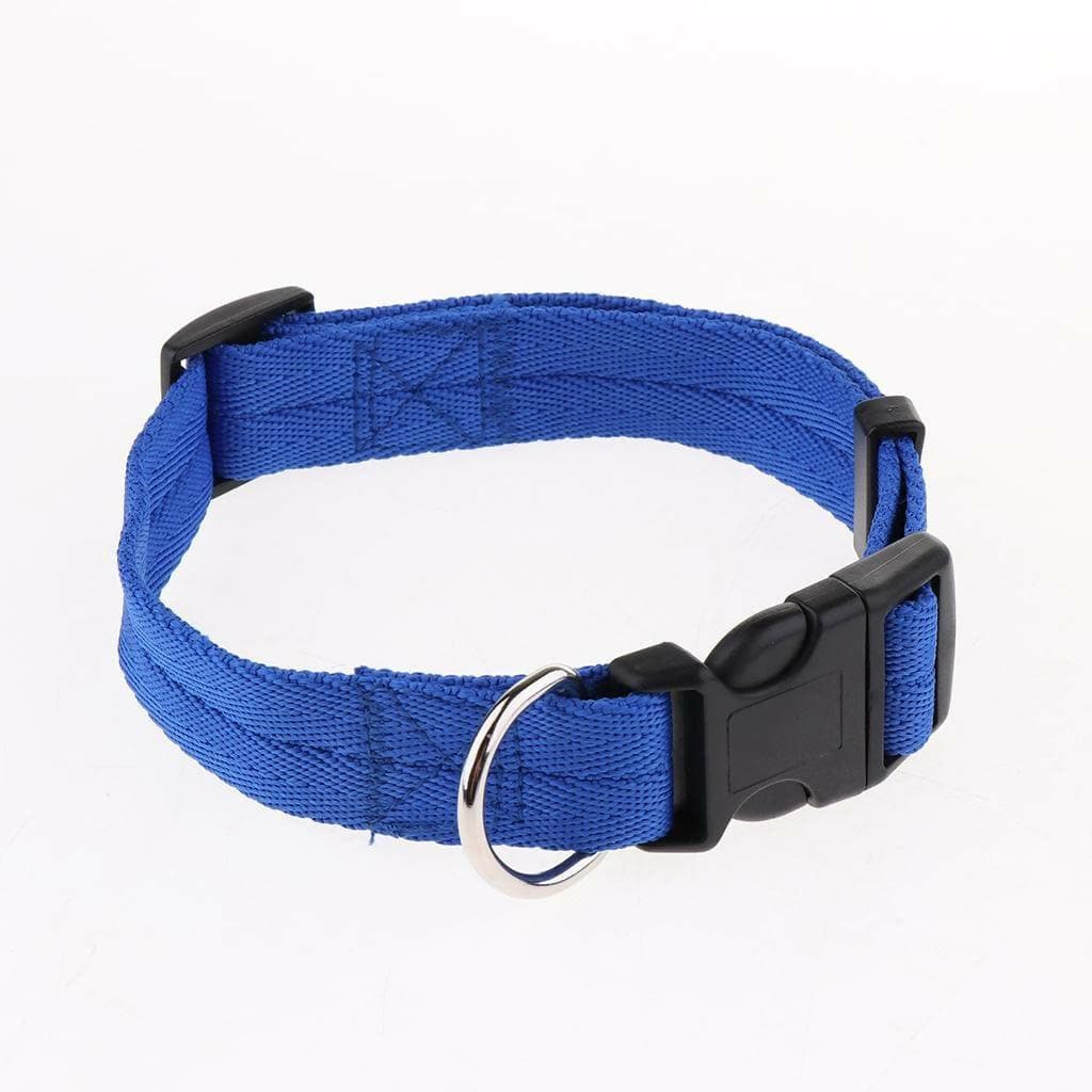 1 inch - Harness, Walking Rope and Collar belt Combo - HalfPe