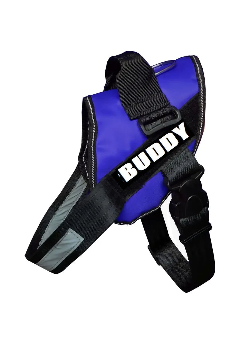 1726571001853__1726571001370__BUDDY%2520BLUE%25202[1]