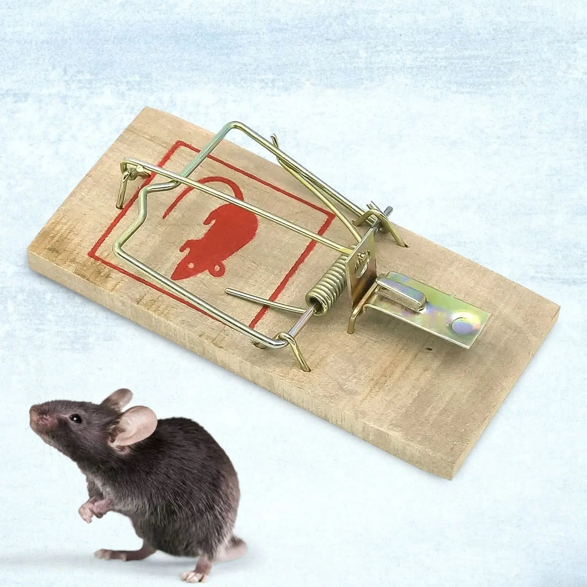 Wooden Mouse Rat Traps (1 Pc) HP DD