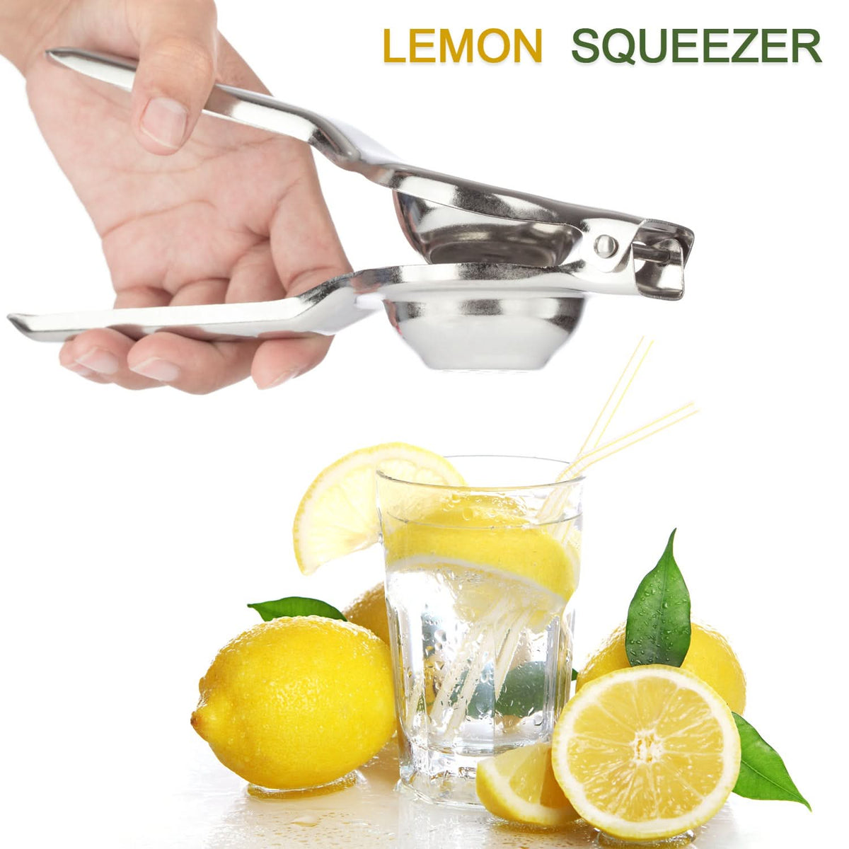Stainless Steel Lemon Squeezer HP DD