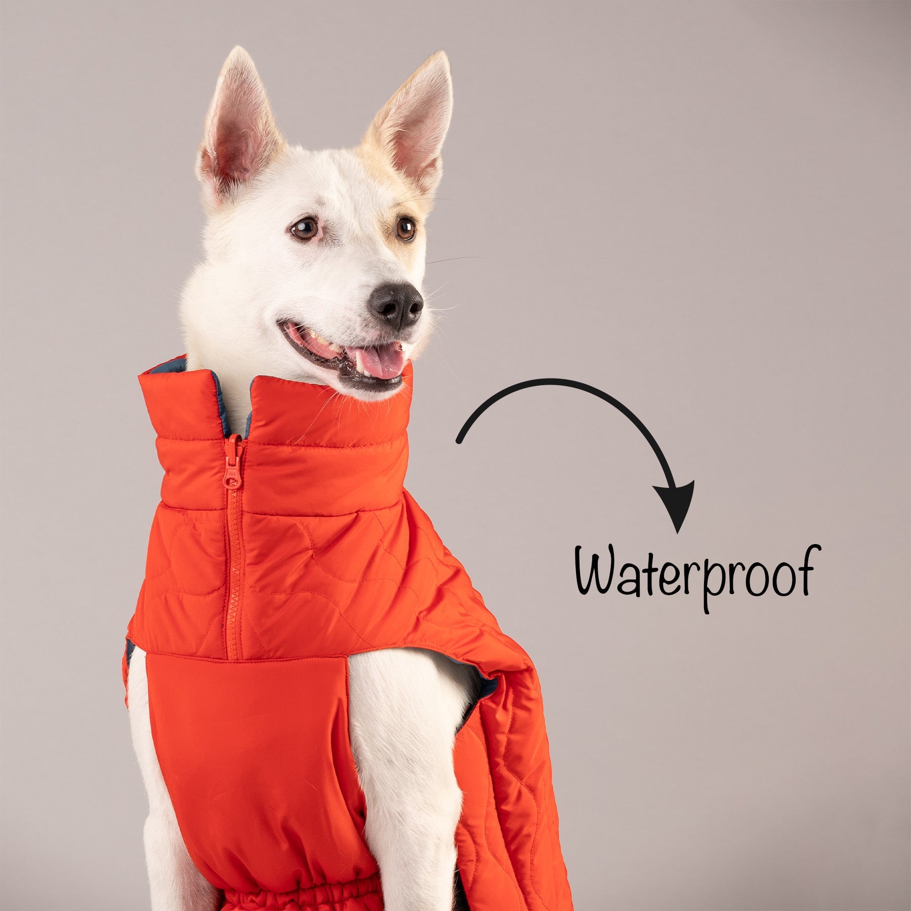 HUFT Cosy Pupper Reversible Dog Jacket- Spicy Orange - Heads Up For Tails