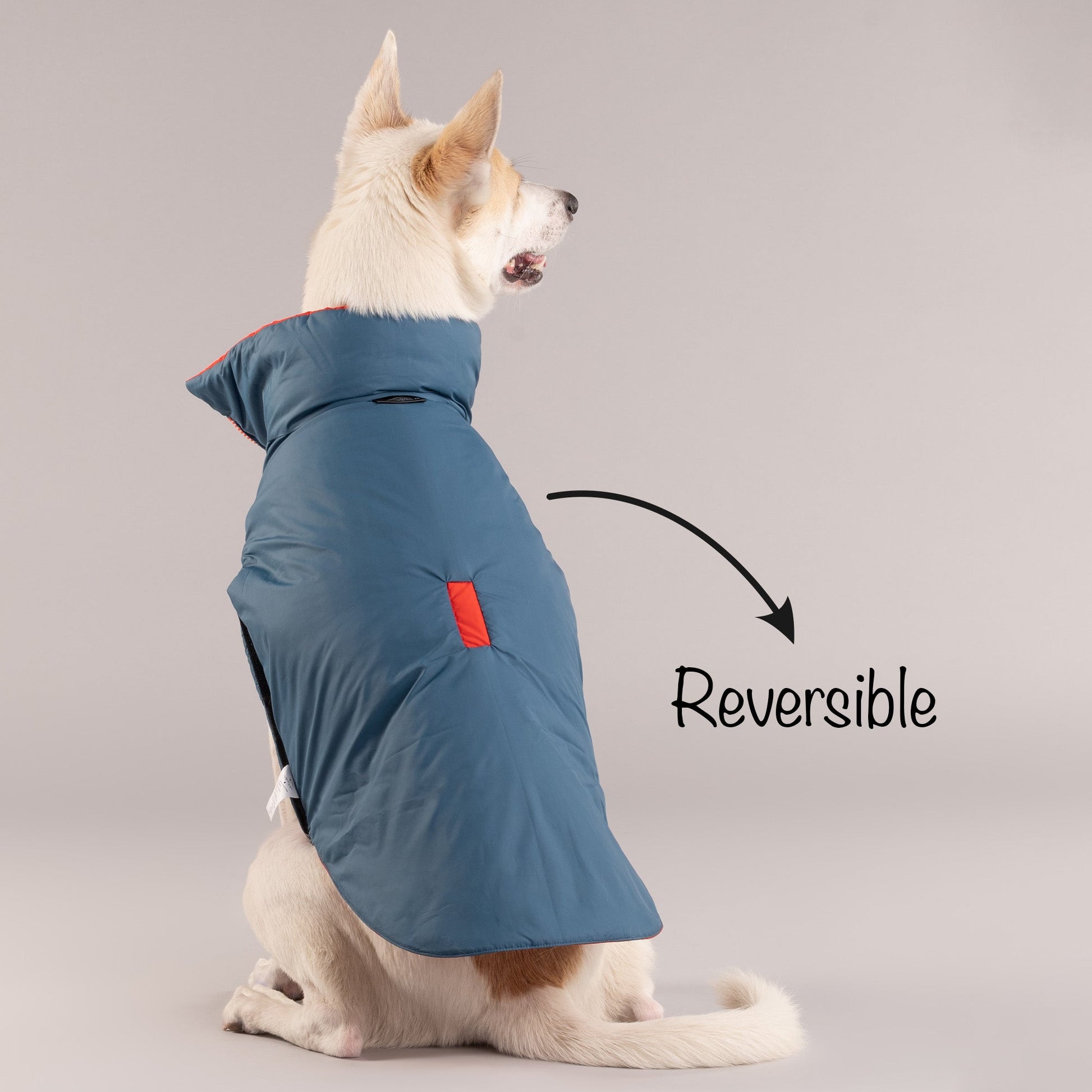 HUFT Cosy Pupper Reversible Dog Jacket- Spicy Orange - Heads Up For Tails