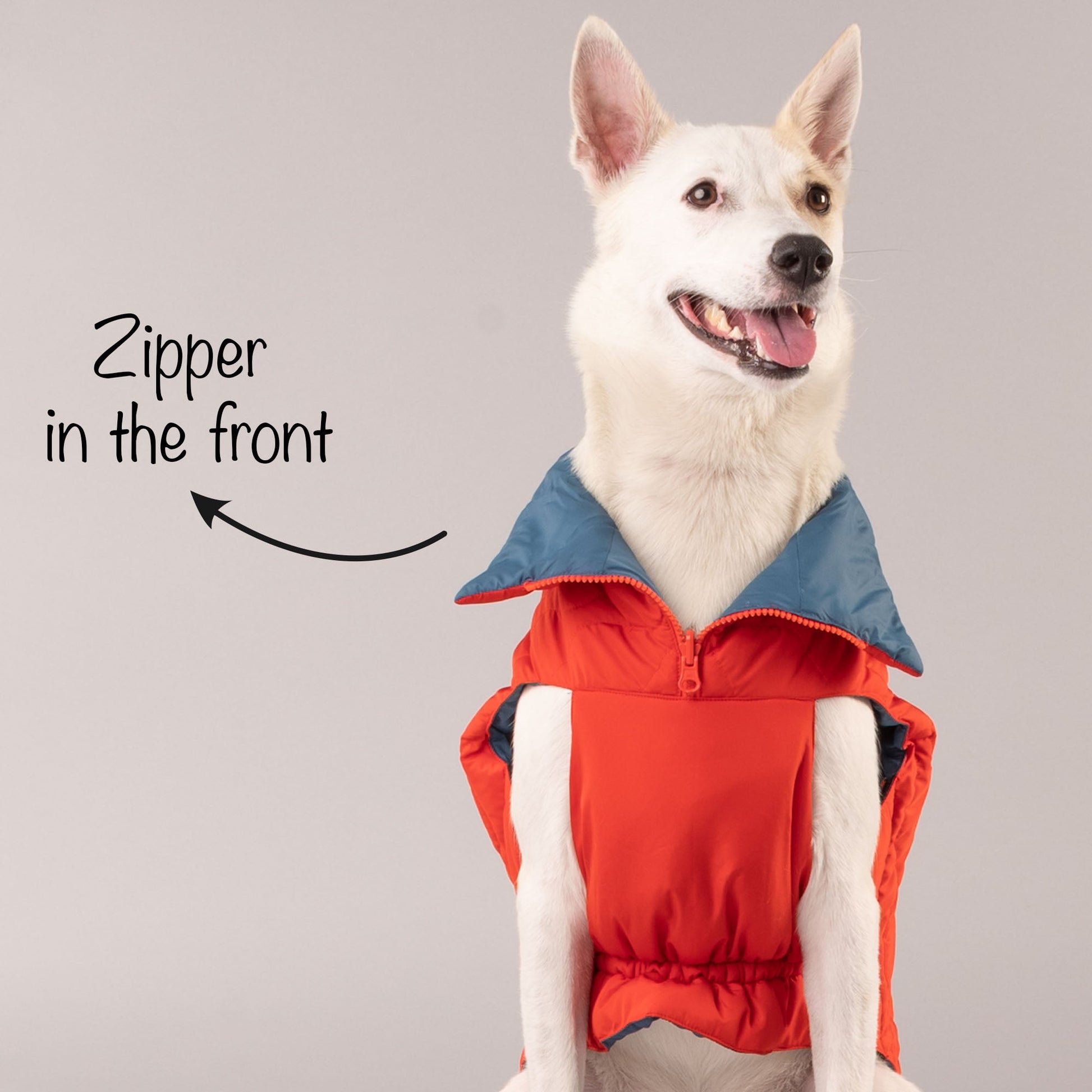 HUFT Cosy Pupper Reversible Dog Jacket- Spicy Orange - Heads Up For Tails