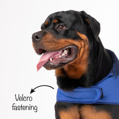 HUFT Wintersong Corduroy Dog Jacket - Blue - Heads Up For Tails