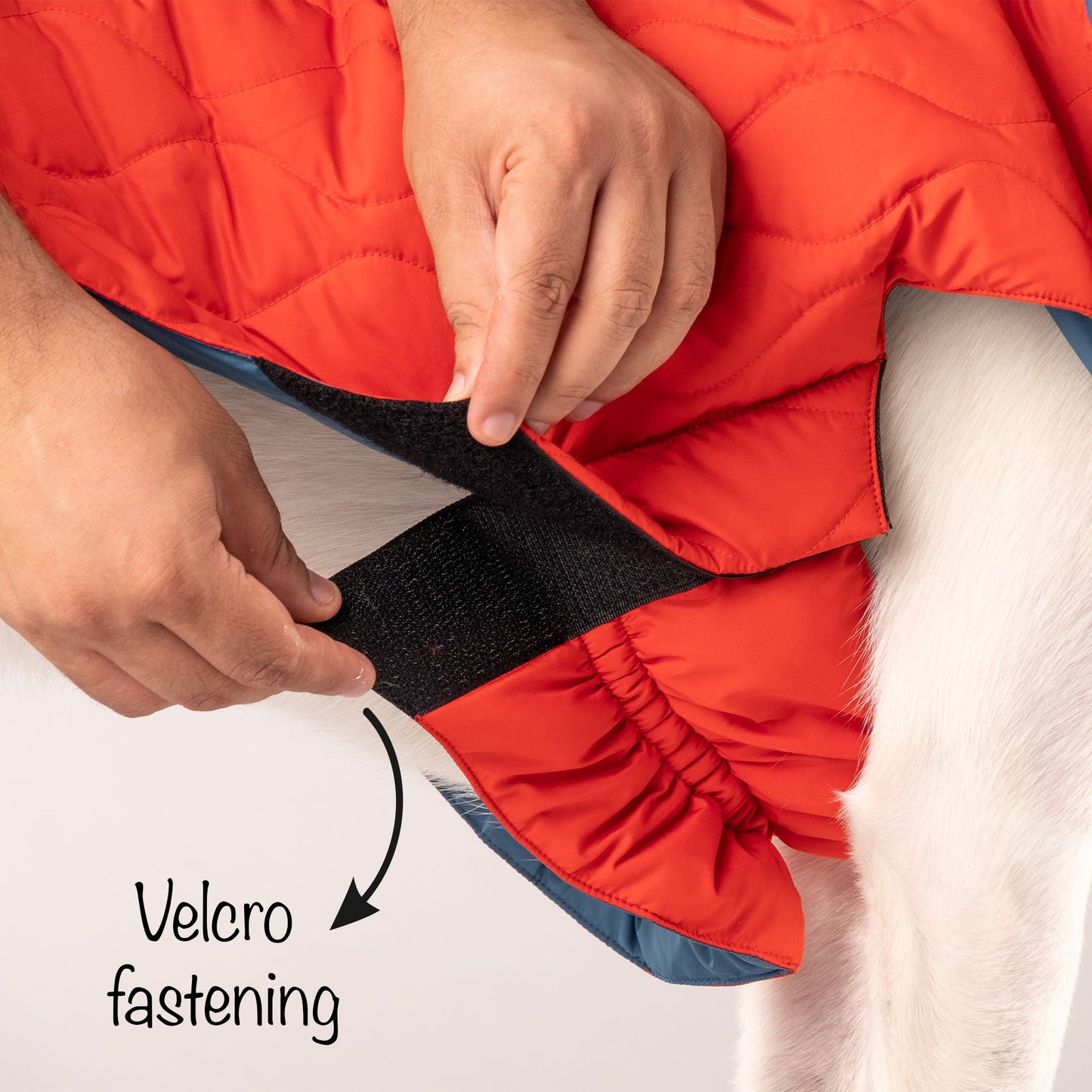 HUFT Cosy Pupper Reversible Dog Jacket- Spicy Orange - Heads Up For Tails