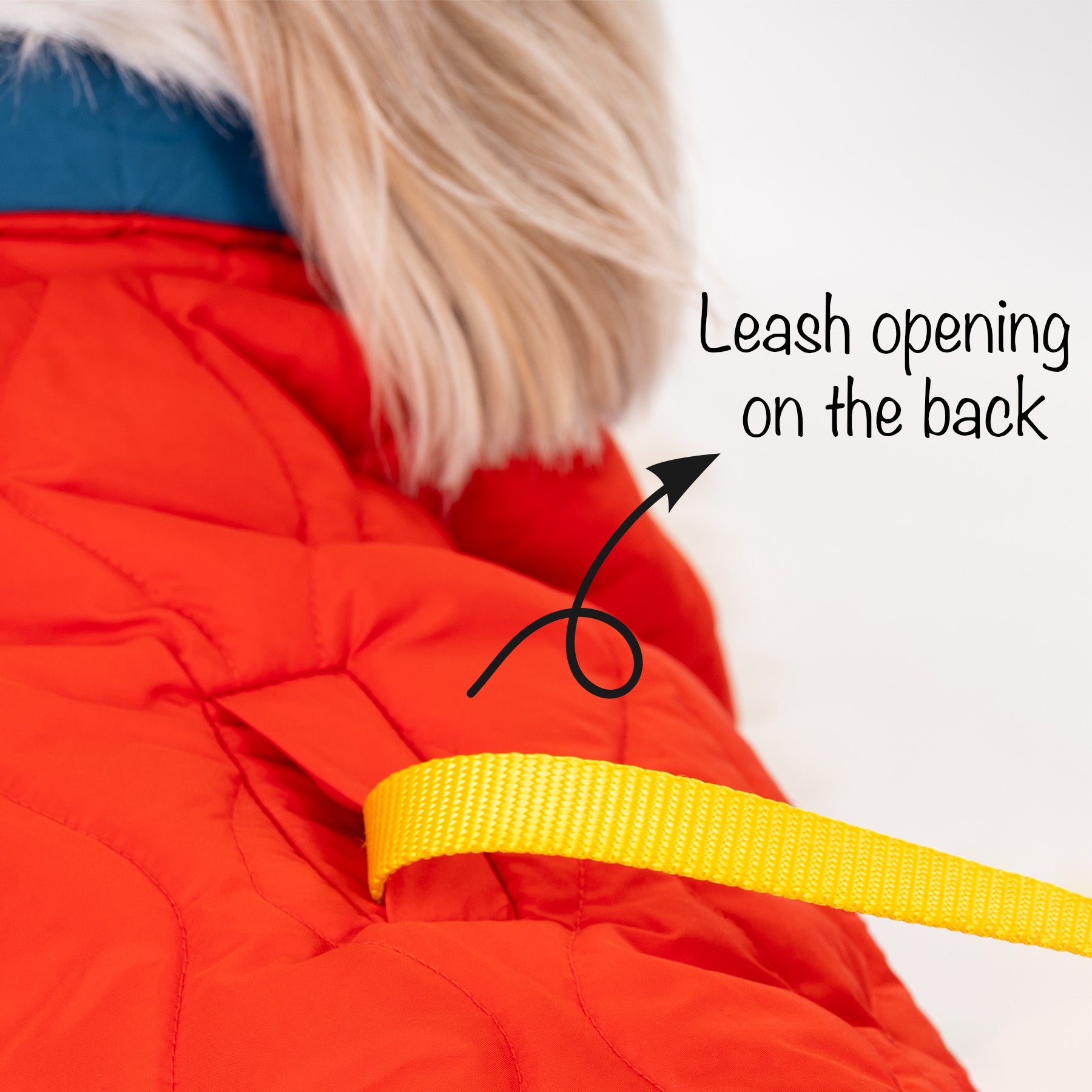 HUFT Cosy Pupper Reversible Dog Jacket- Spicy Orange - Heads Up For Tails