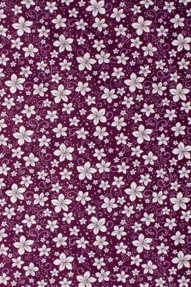 8-1-1-kashtu-original-imah4fx8pa2zau9a[1]