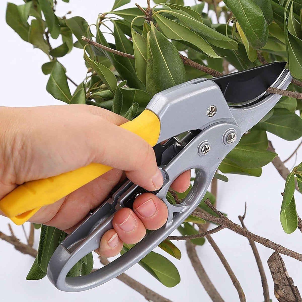 Gardening Shears Enhanced Garden Shears Pruning Machine (200 Mm  1 Pc) HP DD