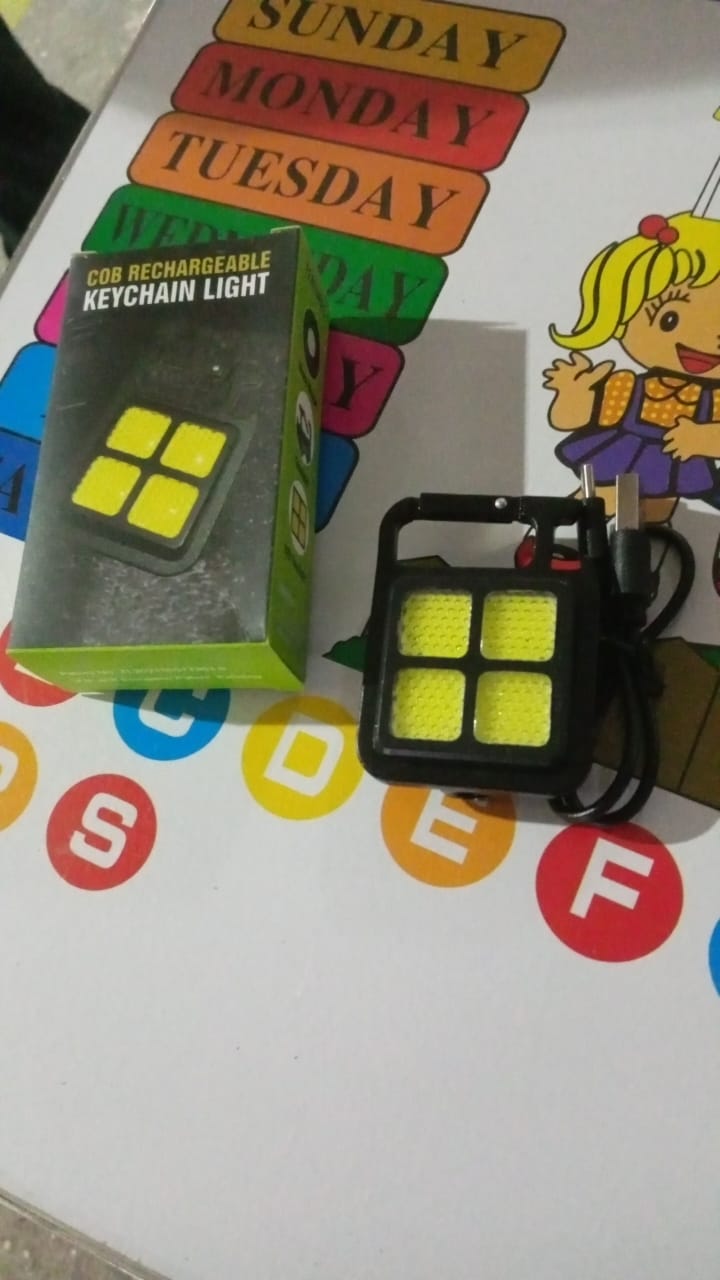 Led Mini Keychain Light (1 Pc)