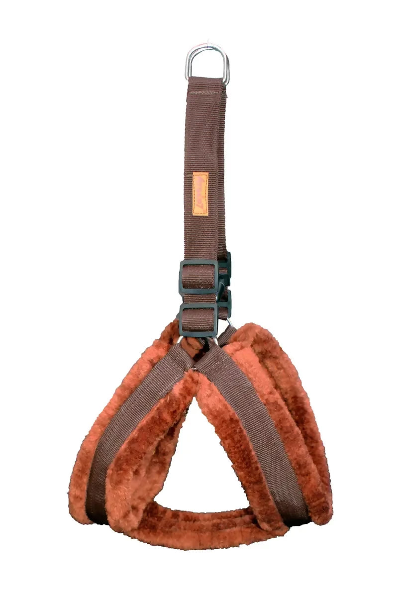 1726646882097__1726646881746__IMG_1039