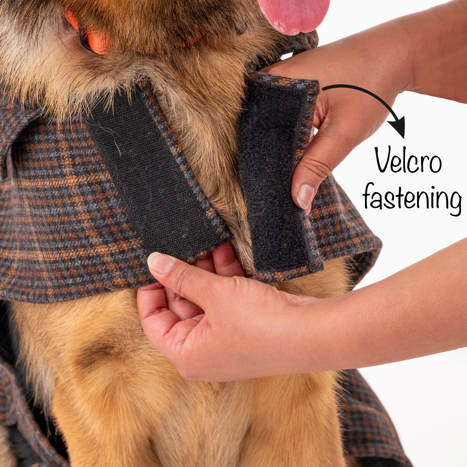 HUFT Tweedle Dee Dog Jacket - Multicolour - Heads Up For Tails